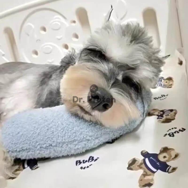 Neu -Wolke 7™- Kuscheliges Hundekissen