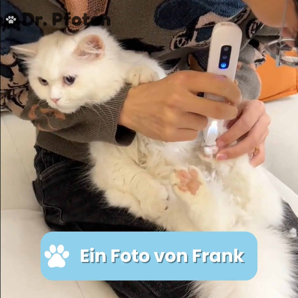 PawTrim Pro™ Katzen - Sanfte Pflege für sensible Samtpfoten