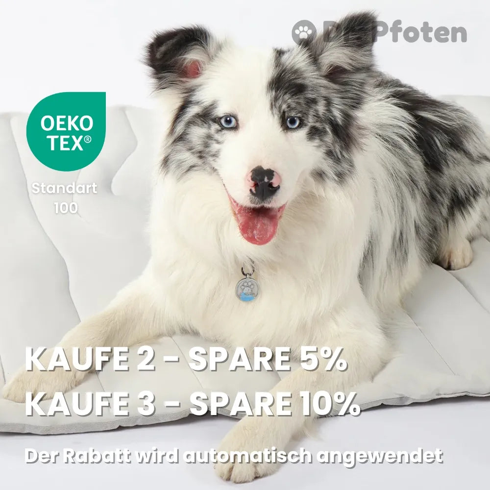 PfotenChill™ - Die innovative Kühlmatte für Hunde