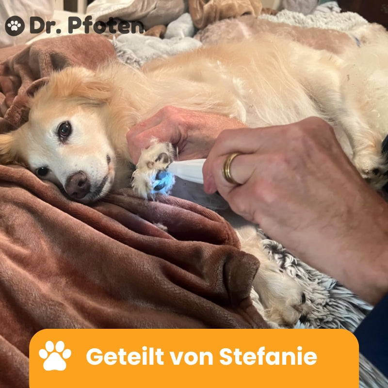 PawTrim Pro™ Deluxe Set - Sommer Exklusiv