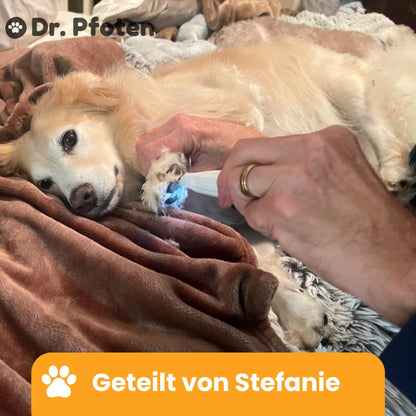 PawTrim Pro™ Deluxe Set - Sommer Exklusiv