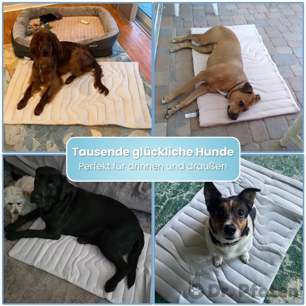 PfotenChill™ - Die innovative Kühlmatte für Hunde