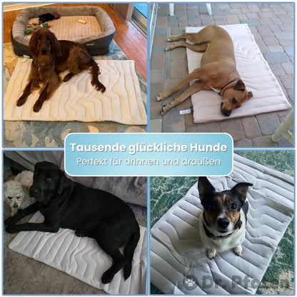 PfotenChill™ - Die innovative Kühlmatte für Hunde