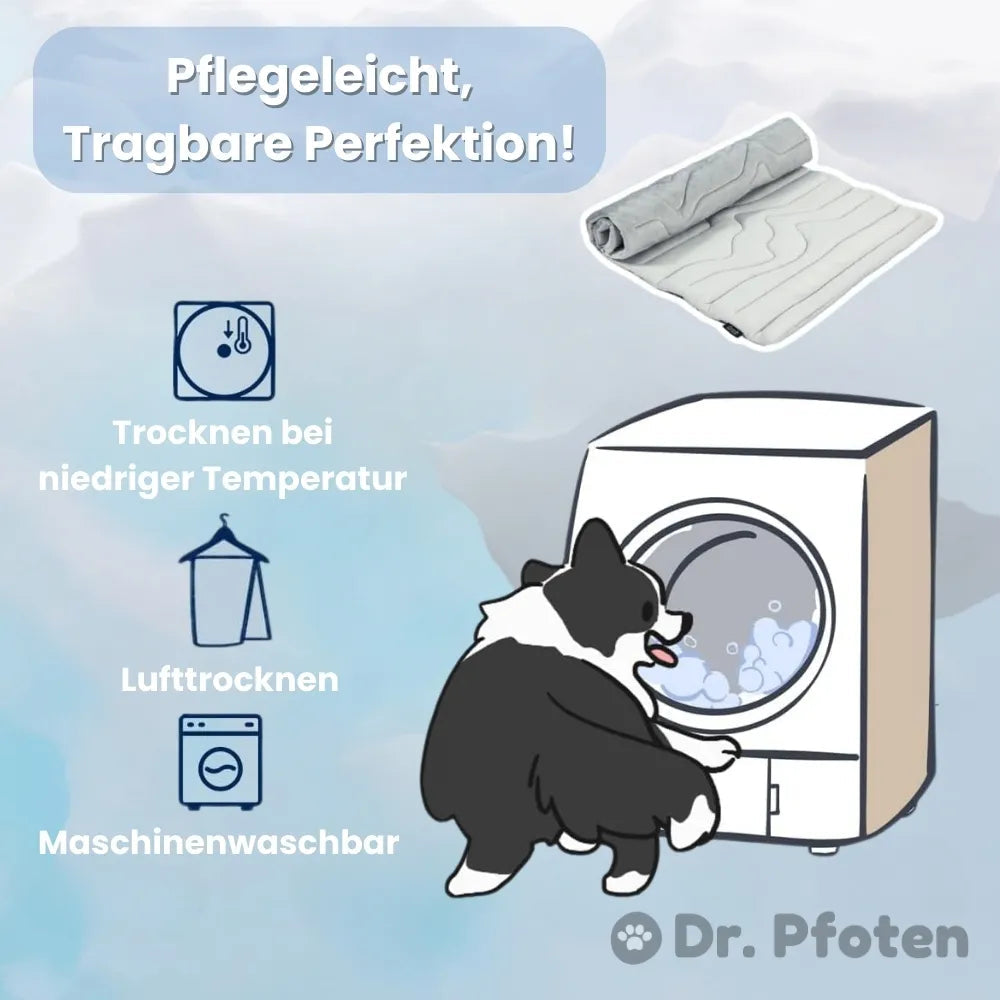 PfotenChill™ - Die innovative Kühlmatte für Hunde