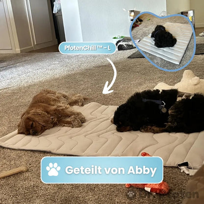 PfotenChill™ - Die innovative Kühlmatte für Hunde