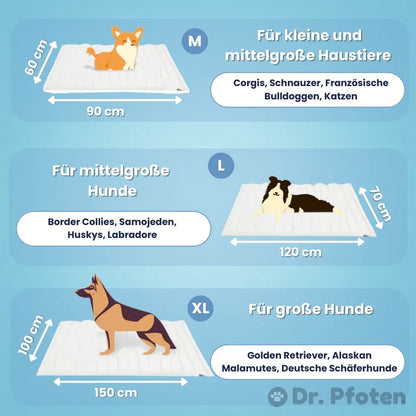 PfotenChill™ - Die innovative Kühlmatte für Hunde