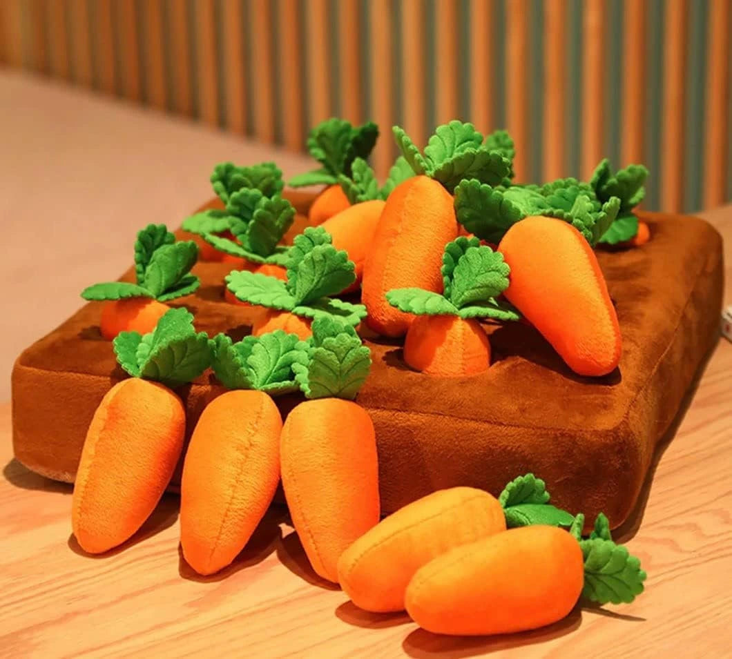 Karottenfarm™