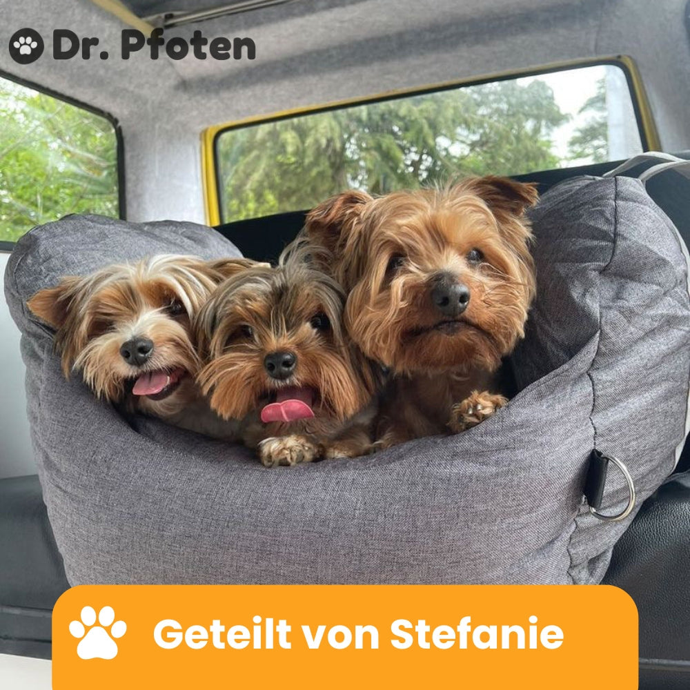 Premium Hunde Autositz - ErsteKlasse™