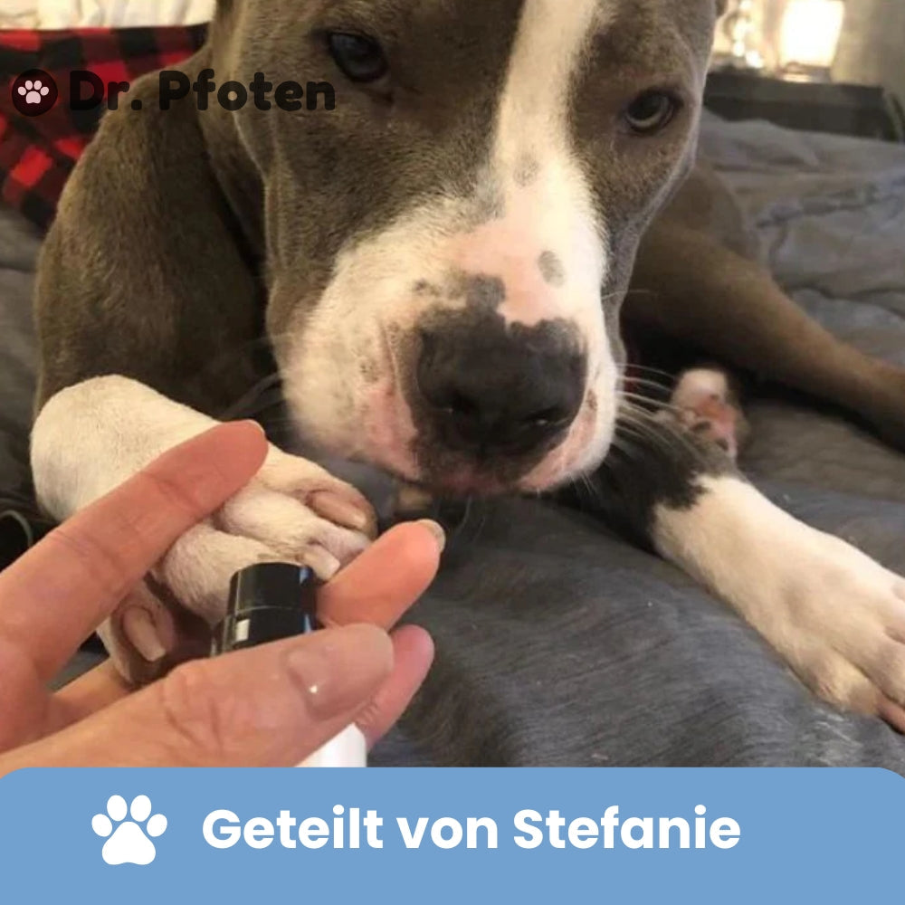 KrallenSchleifer™ Pro Salon - Stressfreie Krallenpflege für Hunde