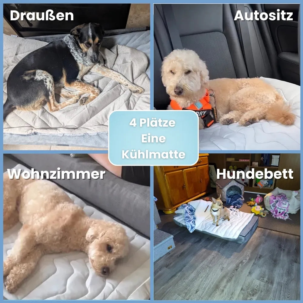 PfotenChill™ - Die innovative Kühlmatte für Hunde