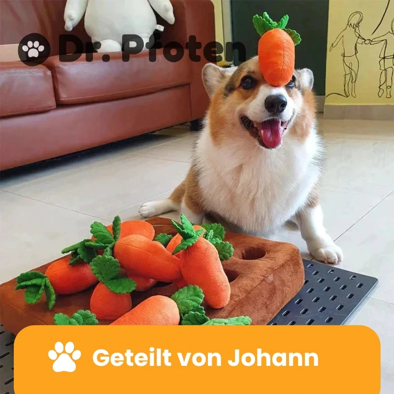 Karottenfarm™